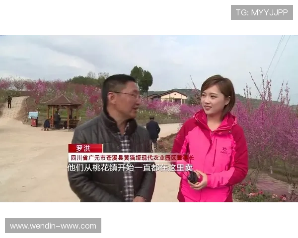 峨眉电影频道高清在线直播免费观看入口